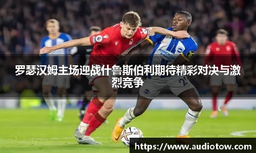 罗瑟汉姆主场迎战什鲁斯伯利期待精彩对决与激烈竞争